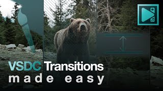 VSDC Transitions Made Easy A Comprehensive Tutorial [upl. by Adnohsat]