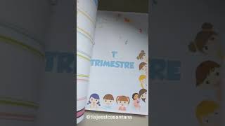 CADERNO DE PLANEJAMENTO MINISTÉRIO INFANTIL [upl. by Stormy548]