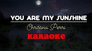 YOU ARE MY SUNSHINE  Christina Perri karaoke [upl. by Enyala]