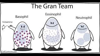 Pathology Intro to Disease Part 2 [upl. by Ocisnarf]