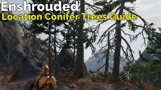 Enshrouded Location Conifer Trees Guide [upl. by Nnoj]