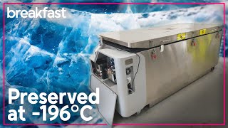 First Australian cryogenically frozen for future revival  TVNZ Breakfast [upl. by Naltiac]