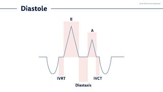 〖Echocardiography〗 Diastolic dysfunction II  time intervals amp ECG 🫀 [upl. by Reivilo45]