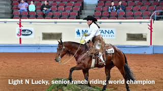 2017 AQHA Senior Ranch Riding [upl. by Eustacia]