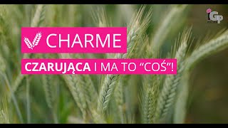 🌱 Pszenżyto ozime CHARME [upl. by Razec]