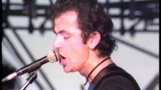 The Stranglers  Peaches Live at Battersea Park 16091978 [upl. by Anairo600]