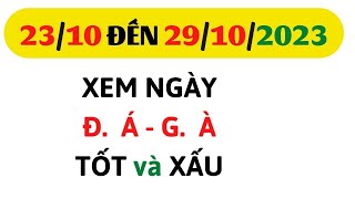 Xem Ngày DA Gà 23102023 đến 29102023 Màu Mệnh VLOG [upl. by Nesilla]