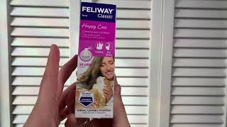 Does the Feliway Spray work Watch to find out [upl. by Nemad374]