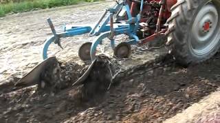 NUFFIELD 4\65 1970ploughing [upl. by Eessac]