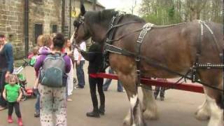 Our rehomed horses  Baron the Clydesdales Story [upl. by Seamus512]