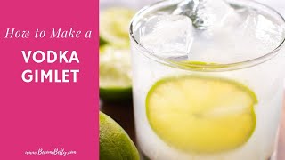 Vodka Gimlet [upl. by Camilia]