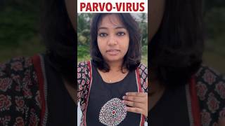 Parvo virus symptoms amp Treatment parvovirus parvodogstreatment [upl. by Nomelc814]