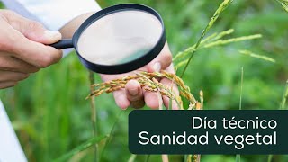 Sanidad Vegetal [upl. by Von]