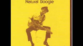 Hound Dog Taylor  Hawaian Boogie [upl. by Sharline]