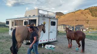 Tacking up the horses camilleshorsemanship [upl. by Craig]