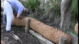 Installing Coir Log Walls to Control Bank Erosion [upl. by Corin]