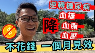 極速減肥，不反彈。運動「零」痛苦。 幫助控制高血糖高血脂高血壓。尿酸痛風都可舒緩。 齊齊來超慢跑。超慢跑 糖尿病 高血脂 脂肪肝 高血壓 減肥瘦身不反彈 增加血液循環 微循環 [upl. by Lain]