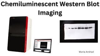 How to use ChemStudio Western Blot Imaging Systems by Analytik Jena western blot imager tutorial [upl. by Peter]