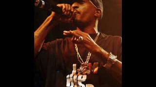 Rakim  Shades Of Black 1995 UNRELEASED [upl. by Jehial232]