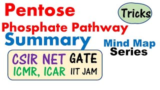 Pentose phosphate pathway biochemistry [upl. by Moncear]