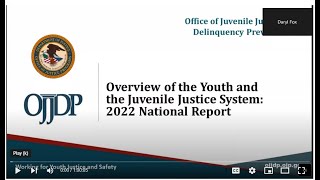 Overview of the Youth and the Juvenile Justice System 2022 National Report [upl. by Anialahs]