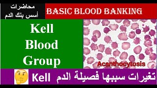 Lecture 51 Kell Blood Group System [upl. by Almund666]