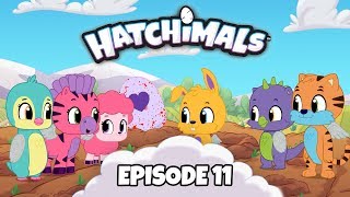 Hatchimals  Episode 11  Down the Hatch  TEAM HATCH YouTube Series [upl. by Eetnahc]