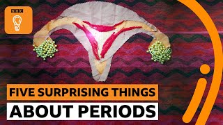 Five things you probably didn’t know about periods  BBC Ideas [upl. by Groos250]