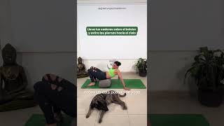 Si tus piernas están cansadas por estar mucho tiempo de pie este video es para ti yoga yogaposes [upl. by Aztinad]