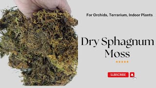 Dry Sphagnum Moss For plants  Use of Moss [upl. by Guilbert]