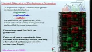 Evolution and Cancer [upl. by Juli]