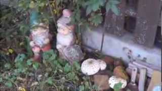 Full Moon Fairy Magick Garden Gnomes and Mushrooms [upl. by Buyer]