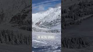 ALTA Ski Resort UTAH [upl. by Schoenberg]