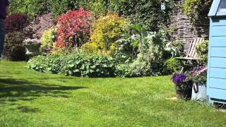 How To Keep Your Lawn in Top Condition [upl. by Omrelliug]