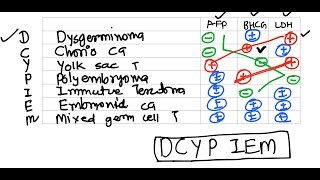 OvaTumourEdu Mastering Ovarian Tumour Markers and Subtypes  StudentFriendly Mnemonic [upl. by Sharron]