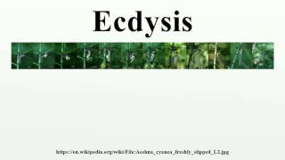 Ecdysis [upl. by Bohannon]