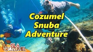 Cozumel Snuba Adventure [upl. by Nahbois]