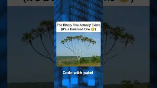 Binary Tree in Real life 🤣 binary binarytree coding dsa dsalgo viral trending [upl. by Aleece]