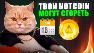 СЖИГАНИЕ NOTCOIN может ЗАПАМПИТЬ ЦЕНУ на 200  Как СТЕЙКИНГ ИЗМЕНИТ НОТКОИН [upl. by Gnouhc]