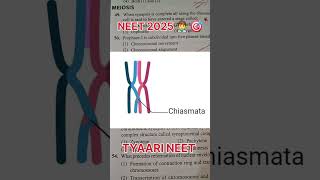 What is the structure of Chiasmata Important question for Neet 2025 neetug exam chiasmata dr [upl. by Acimat]