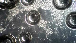 Baking soda and Citric acid reaction 1 [upl. by Sikorski]