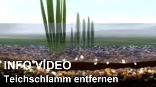 Teichschlamm entfernen mit Teichschlammentferner  Video Teichschlamm beseitigen [upl. by Helga]