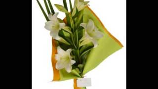 Florerias Tu jardin flores y regalos tujardinonlinecomar [upl. by Yrevi]