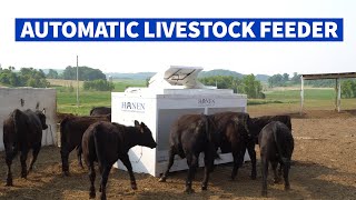 Hanen Automatic Cattle amp Livestock Feeders [upl. by Hiett]