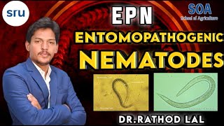 EPN Entomopathogenic Nematodes [upl. by Arbuckle926]