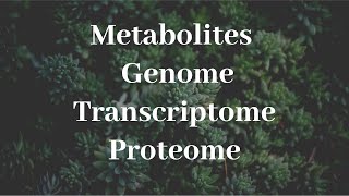 Metabolites Metabolome Genome Transcriptome Proteome [upl. by Alatea]