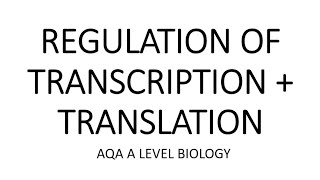 REGULATION OF TRANSCRIPTION amp TRANSLATION  AQA A LEVEL BIOLOGY  EXAM QUESTIONS RUN THROUGH [upl. by Odyssey]