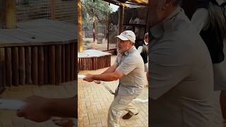 A 60 Year Old Man Challenged the Lion 😱 trending shortvideo [upl. by Yelsiap]