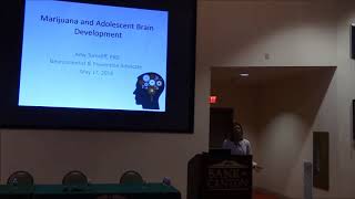 Marijuana and Adolescent Brain Development with Amy Turncliff PHD [upl. by Eirised455]