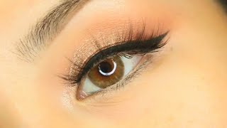 TTDEYE Natural Contacts TRINITY BROWN Contact Review amp Close Up Tutorial [upl. by Erdnoid]